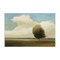 Stupell Industries Windblown Tree Landscape Canvas Wall Art Design by Wellington Studio